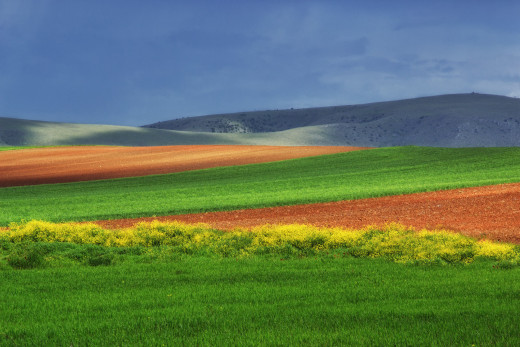 1008249 (a): :2048x1365